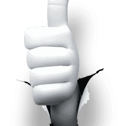 10 Tell-Tale Signs You Have A True Human Resource Business Partner?